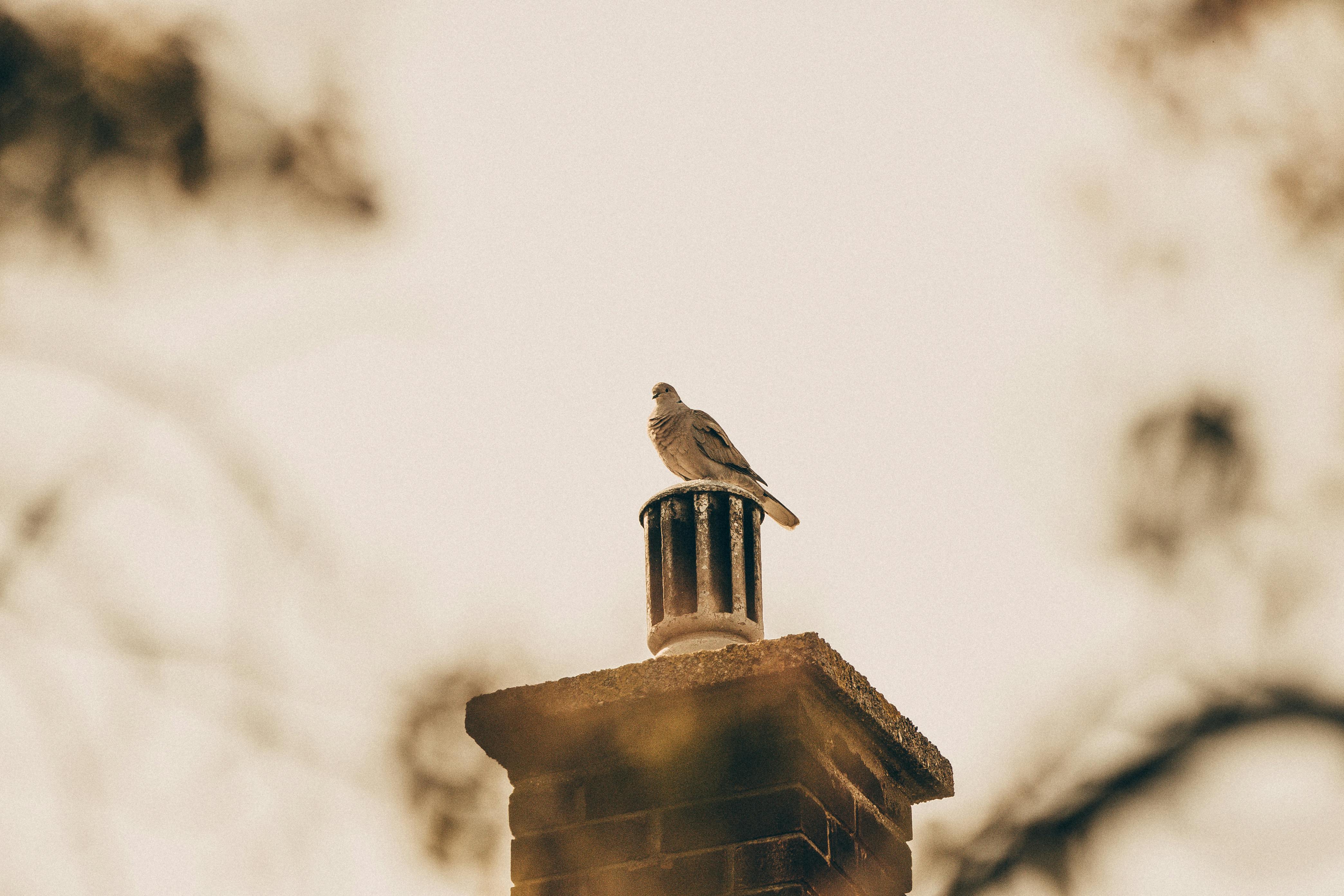 Expert Chimney Cap Installation in Mission Viejo, California